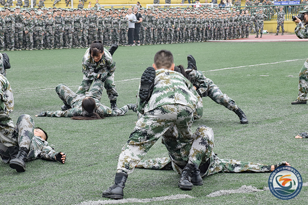 52560db9f25341579b4d61550f2d1d22.jpg 永利yl23411